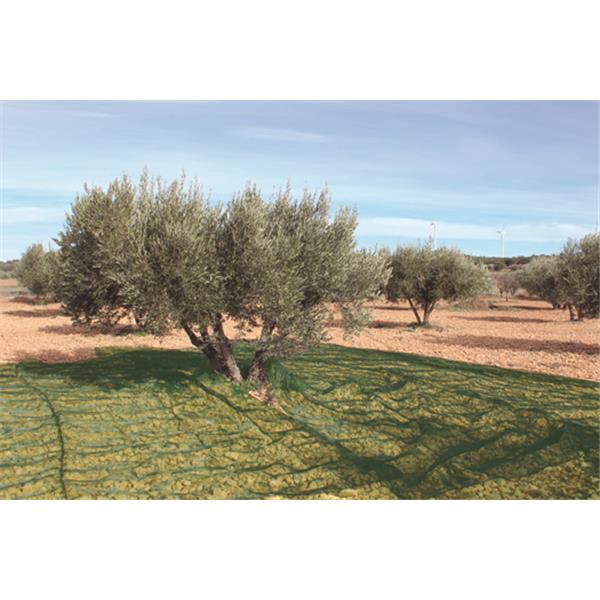 MANTOS BORRASAS PARA ACEITUNA