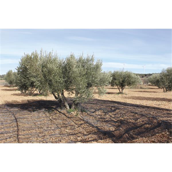 MALLA PARA RECOLECTAR ACEITUNAS NEGRA 6 X 12 MT NATUUR