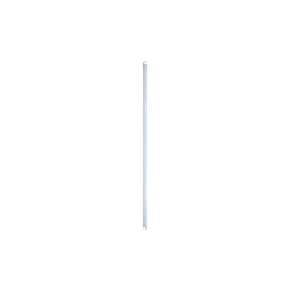 TUBO ILUMIN LED 18 WT 1850 LM 120 CM 6500K T8 G13