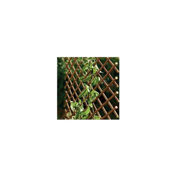 CELOSIA EXTENSIBLE MIMBRE 1 X 2 M