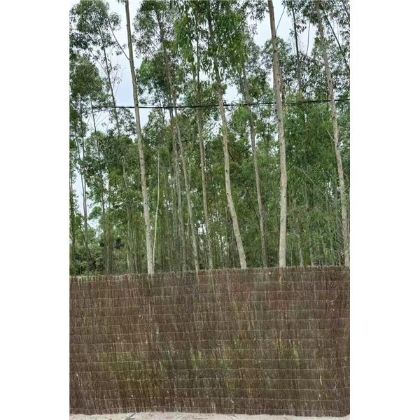 BREZO NATURAL PREMIUM 2,5KG/M&sup2; 1,5X5M