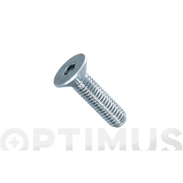 TORNILLO ALLEN C/AVELLANADA DIN 7991 10.9 M- 10 X 40 MM ZINCADO