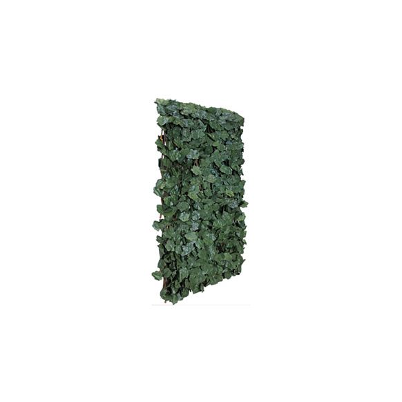 CELOSIA EXTENSIBLE MIMBRE HIEDRA 1 X 1,5 M