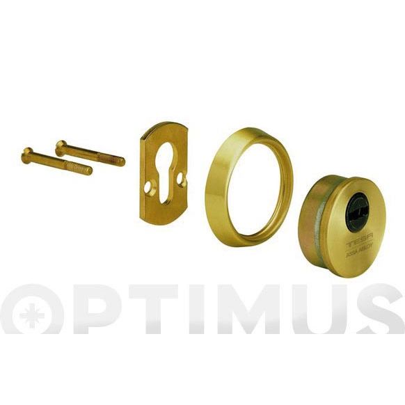 ESCUDO SEGURIDAD E700L DORADO TESA