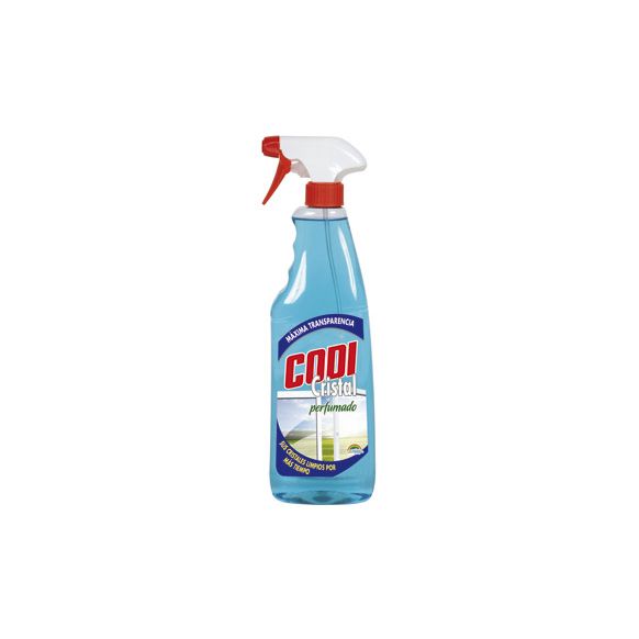 LIMPIACRISTALES MULTIUSOS 750 ML PISTOLA CODINA