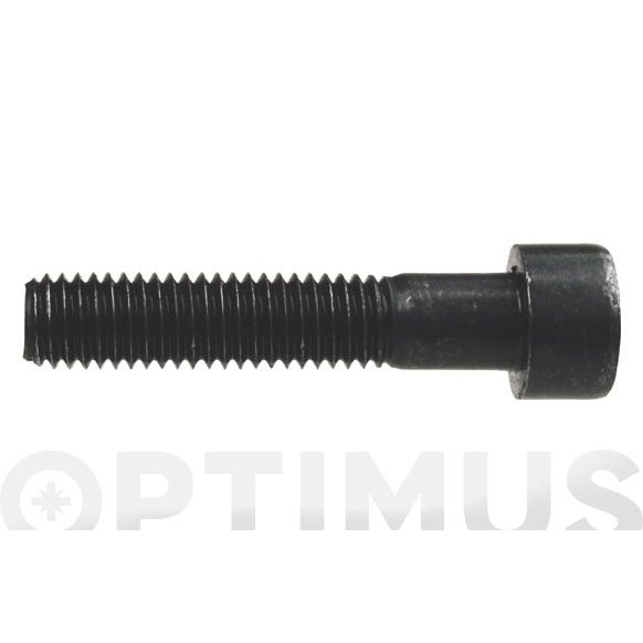 TORNILLO DIN 912 8.8 ALLEN M- 6 X 016 MM PAVOVADO