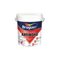 PINTURA PLASTICA 