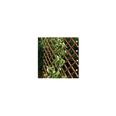 CELOSIA EXTENSIBLE MIMBRE 1 X 2 M