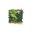 JARDIN VERTICAL BELICE A 50 X 50 CM