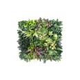 JARDIN VERTICAL BELICE B 50 X 50 CM