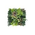 JARDIN VERTICAL BELICE C 50 X 50 CM