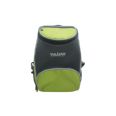 NEVERA CAMPING FLEXIBLE VERDE Y GRIS 12 L