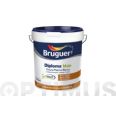 PINTURA PL&Aacute;STICA EXTERIOR BLANCO MATE 4L DIPLOMA BRUGUER